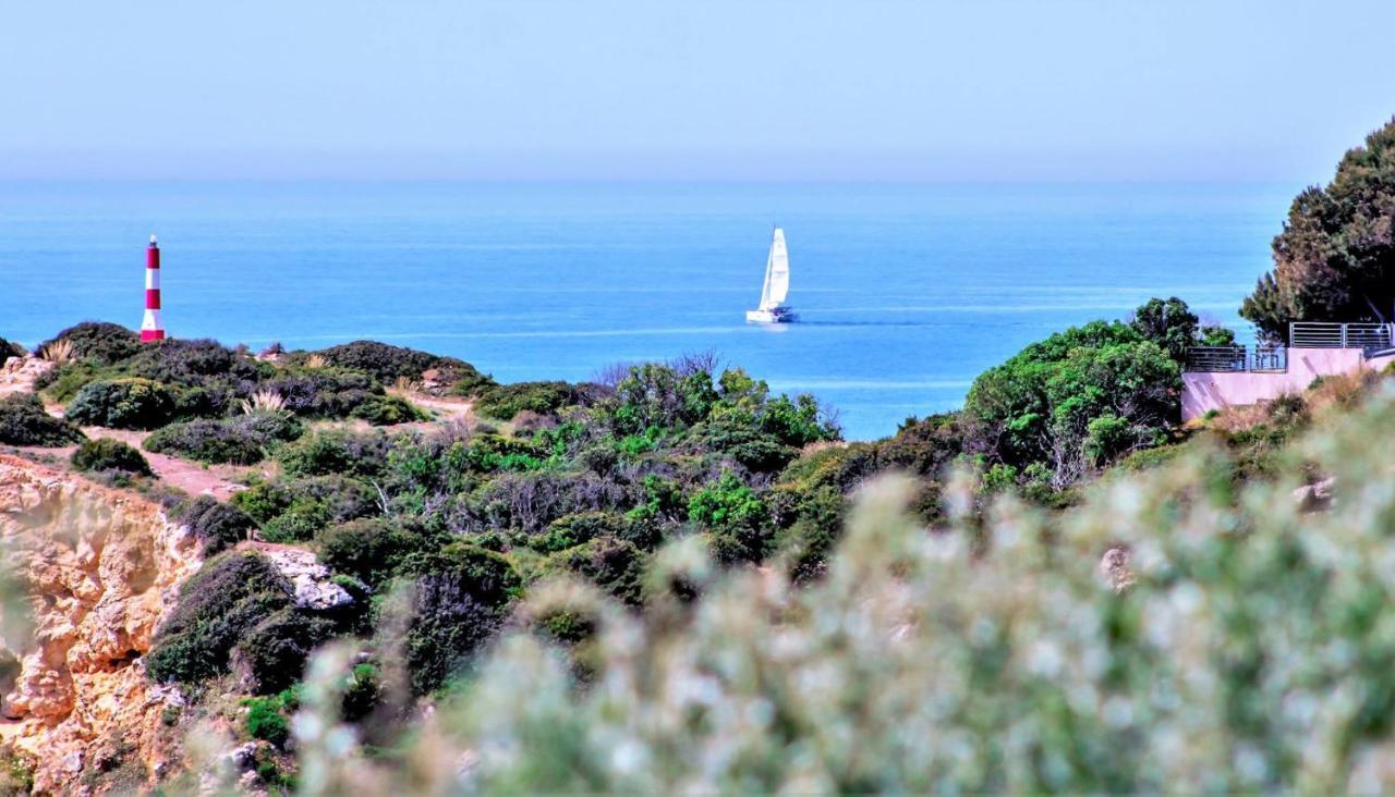 Alzira By Rossio Daire Albufeira Dış mekan fotoğraf
