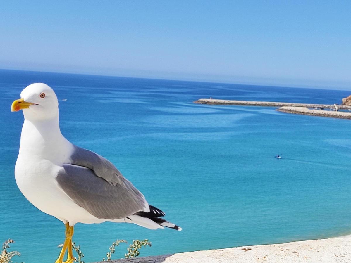 Alzira By Rossio Daire Albufeira Dış mekan fotoğraf